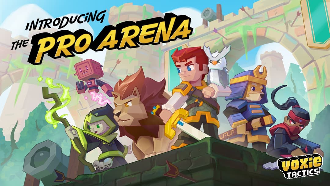 Introducing The Pro Arena: A New Battleground for Voxie Tactics!